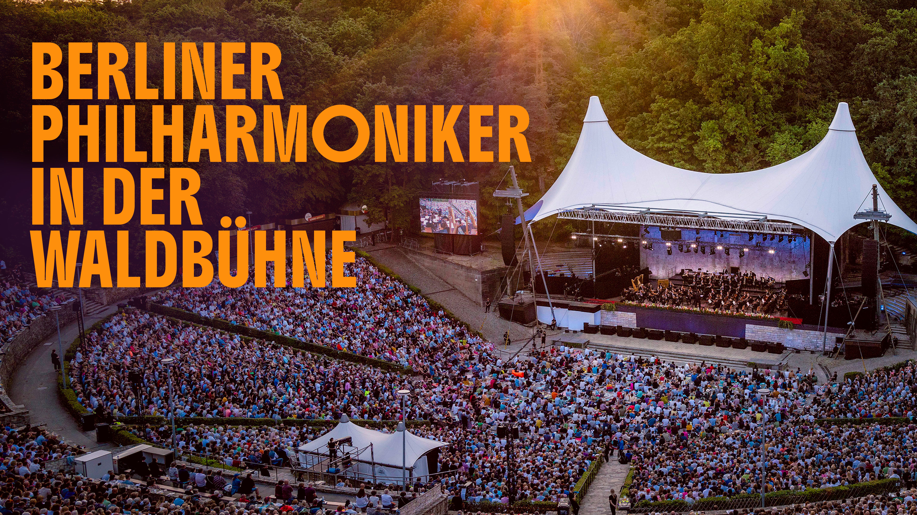 Die Berliner Philharmoniker in der Waldbühne 2025 | Bild: rbb/Berliner Philharmoniker/Stephan Rabold