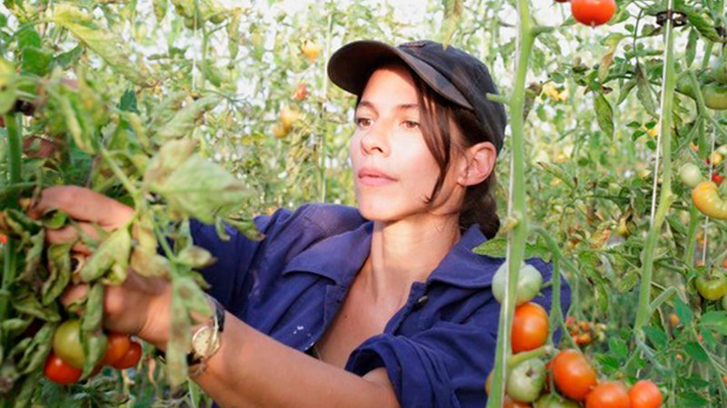 Maria Giménez prüft die Qualität der Pflanzen auf ihrem Hof | Bild: rbb