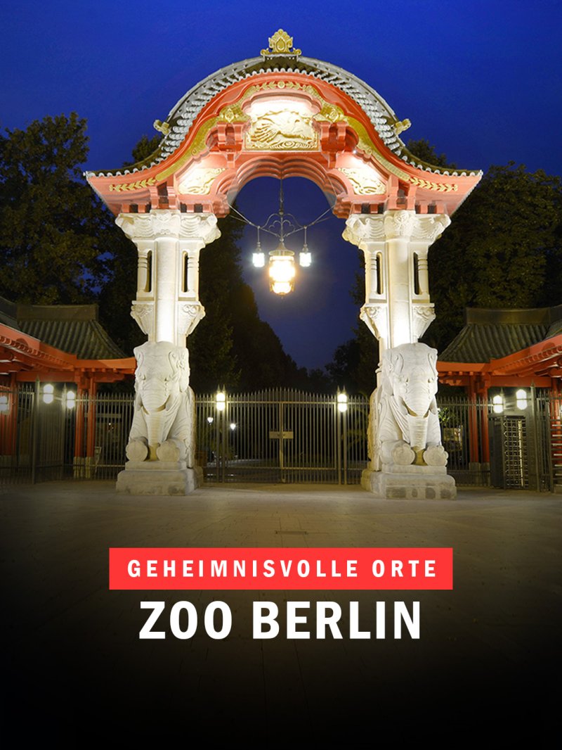 Das Elefantentor im Süden des Berliner Zoos | Bild: IMAGO / Schöning