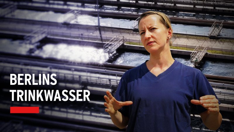 Bildmontage: Magdalena Gierke, Leiterin der Verfahrenssteuerung des Klärwerks Schönerlinde | Bild: rbb